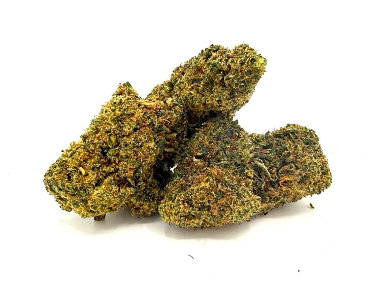 Girl Scoot Cookies