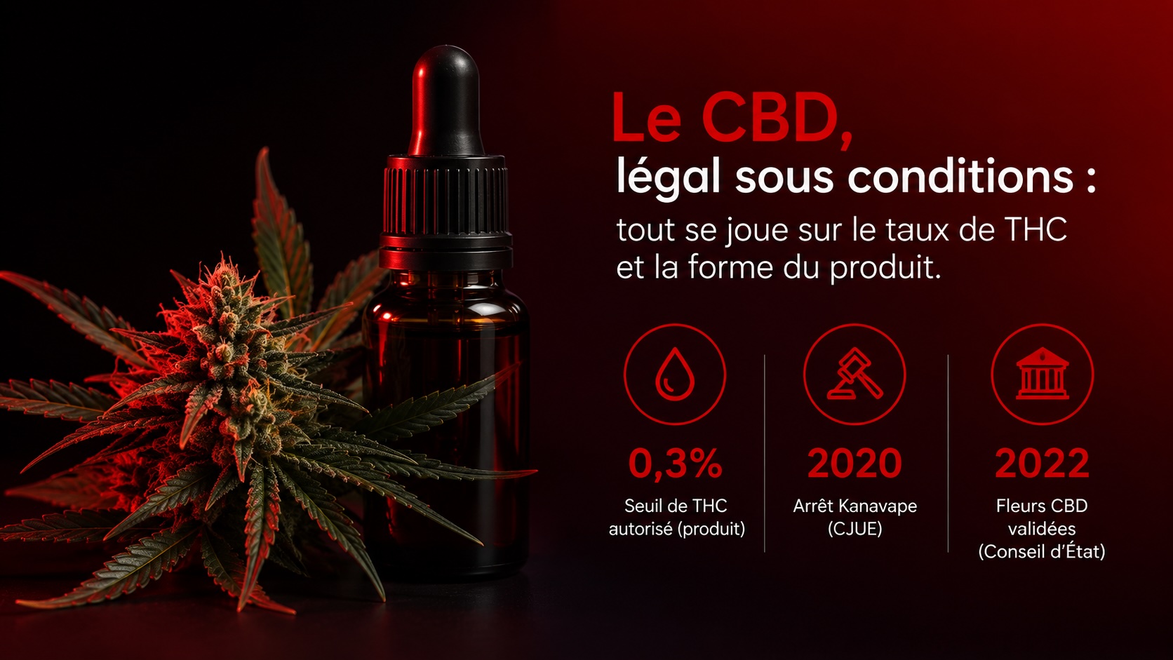 Fleur de chanvre CBD et flacon, produits légaux sous le seuil de THC
