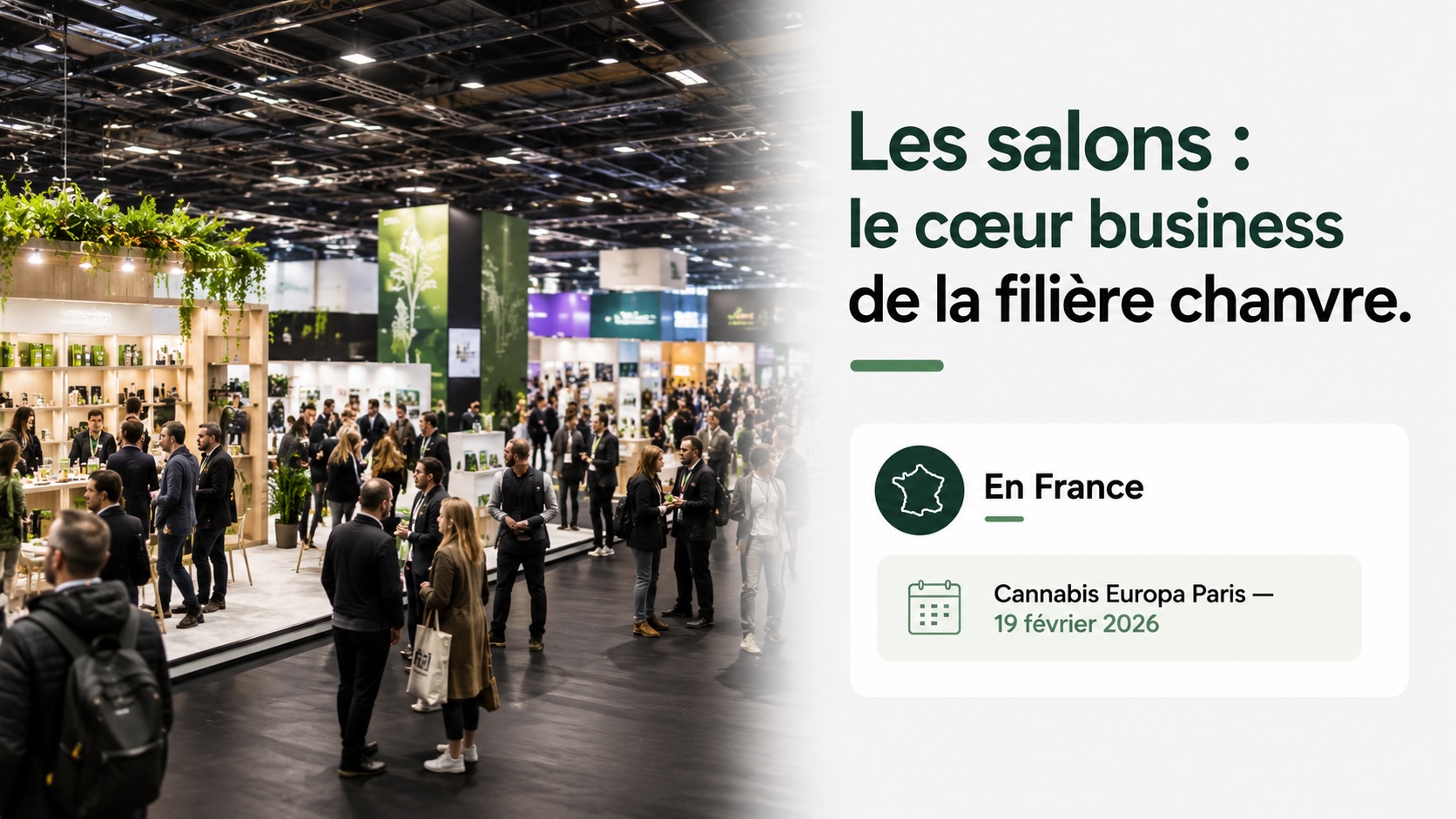 Salon CBD en France, cœur de la filière chanvre