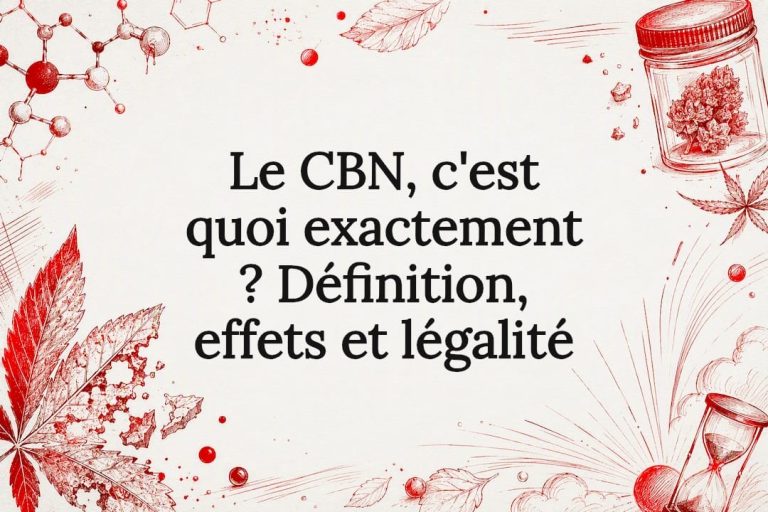Illustration décorative du CBN