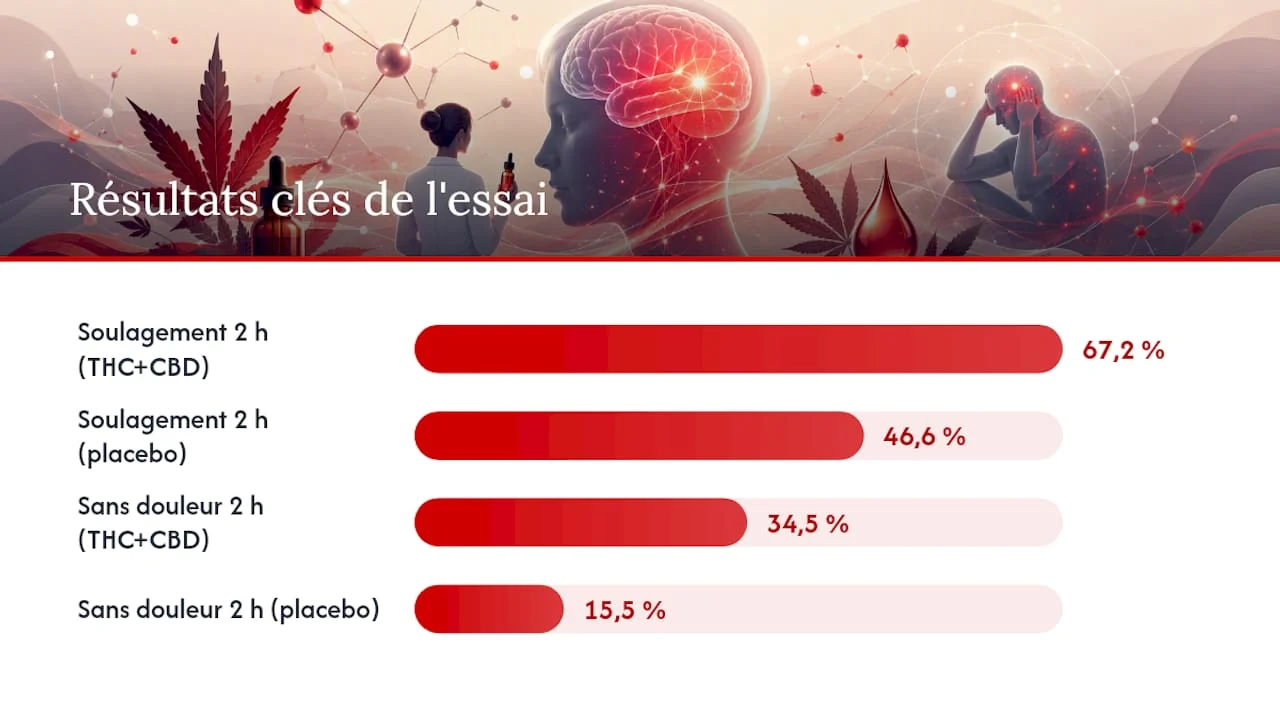 CBD migraine : niveaux de preuves et comparaison des modes d'administration