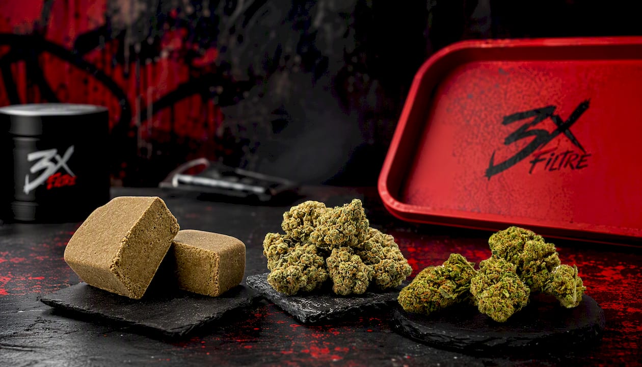 Mango Haze, Amnesia Haze Hydro et Pineapple : fleurs CBD tracées 3xfiltré