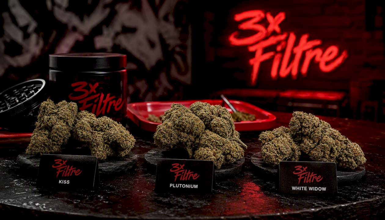Sélection 3xfiltré : KISS, PLUTONIUM et White Widow avec analyses