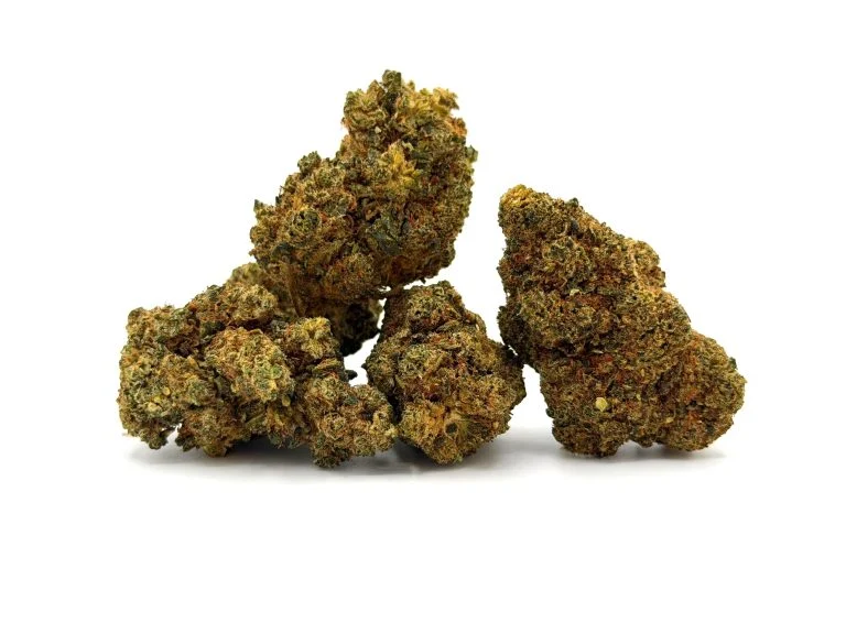 Chocolope